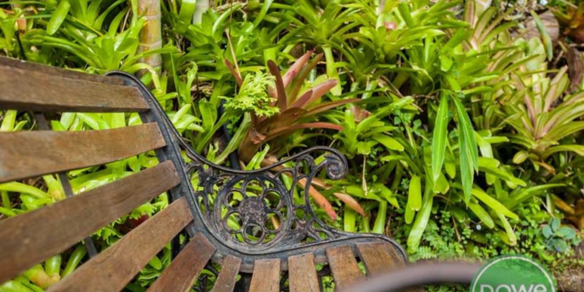 13 Koonya Close, KEWARRA BEACH, QLD 4879 AUS