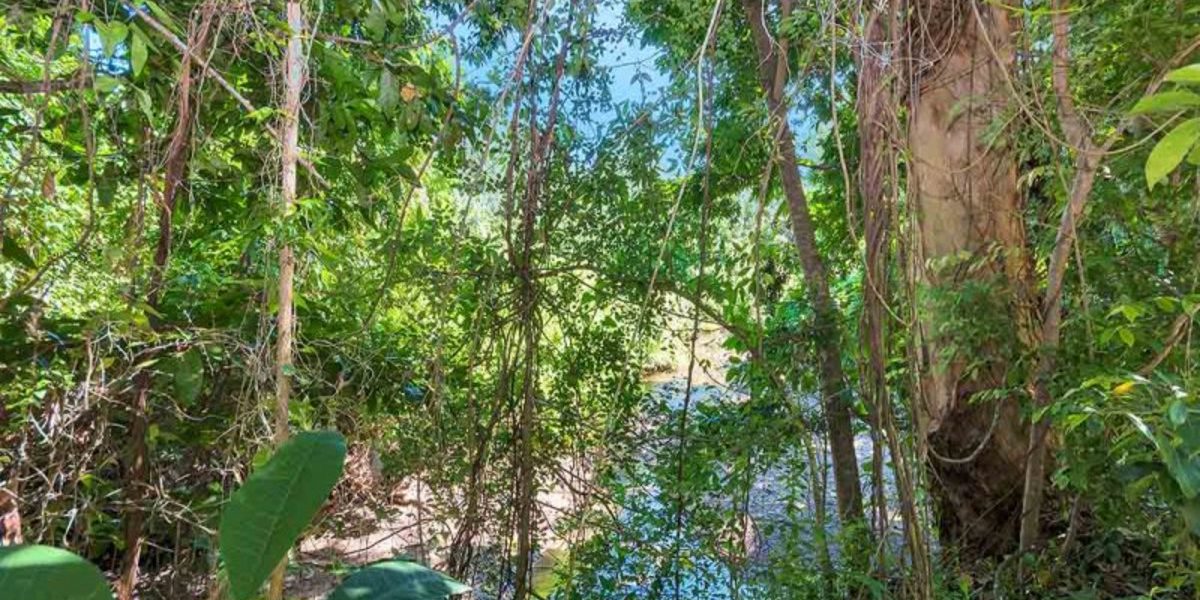 14/6-8 Triton Street, PALM COVE, QLD 4879 AUS