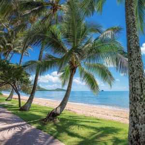 58 Veivers Road, PALM COVE, QLD 4879 AUS