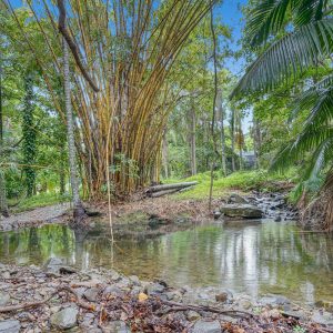 20-22 Foley Road, Palm Cove, QLD 4879 AUS