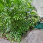 7/199 McLeod Street, Cairns North, QLD 4870 AUS