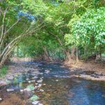 16 Willie Ming Close, Redlynch, QLD 4870 AUS