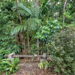 14 Aurelia Road, Palm Cove, QLD 4879 AUS