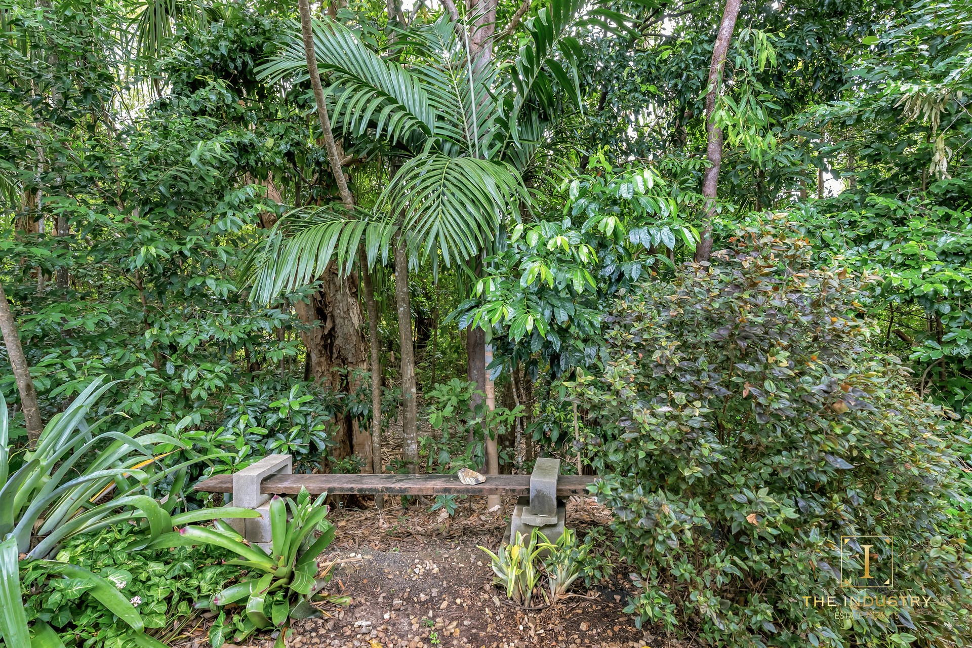 14 Aurelia Road, Palm Cove, QLD 4879 AUS