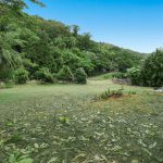 8 Lifu Close, Wonga Beach, QLD 4873 AUS