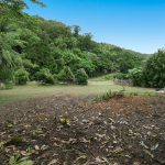 8 Lifu Close, Wonga Beach, QLD 4873 AUS