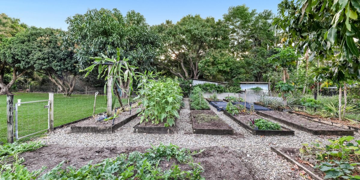 15 Wilkinson Street, Kewarra Beach, QLD 4879 AUS