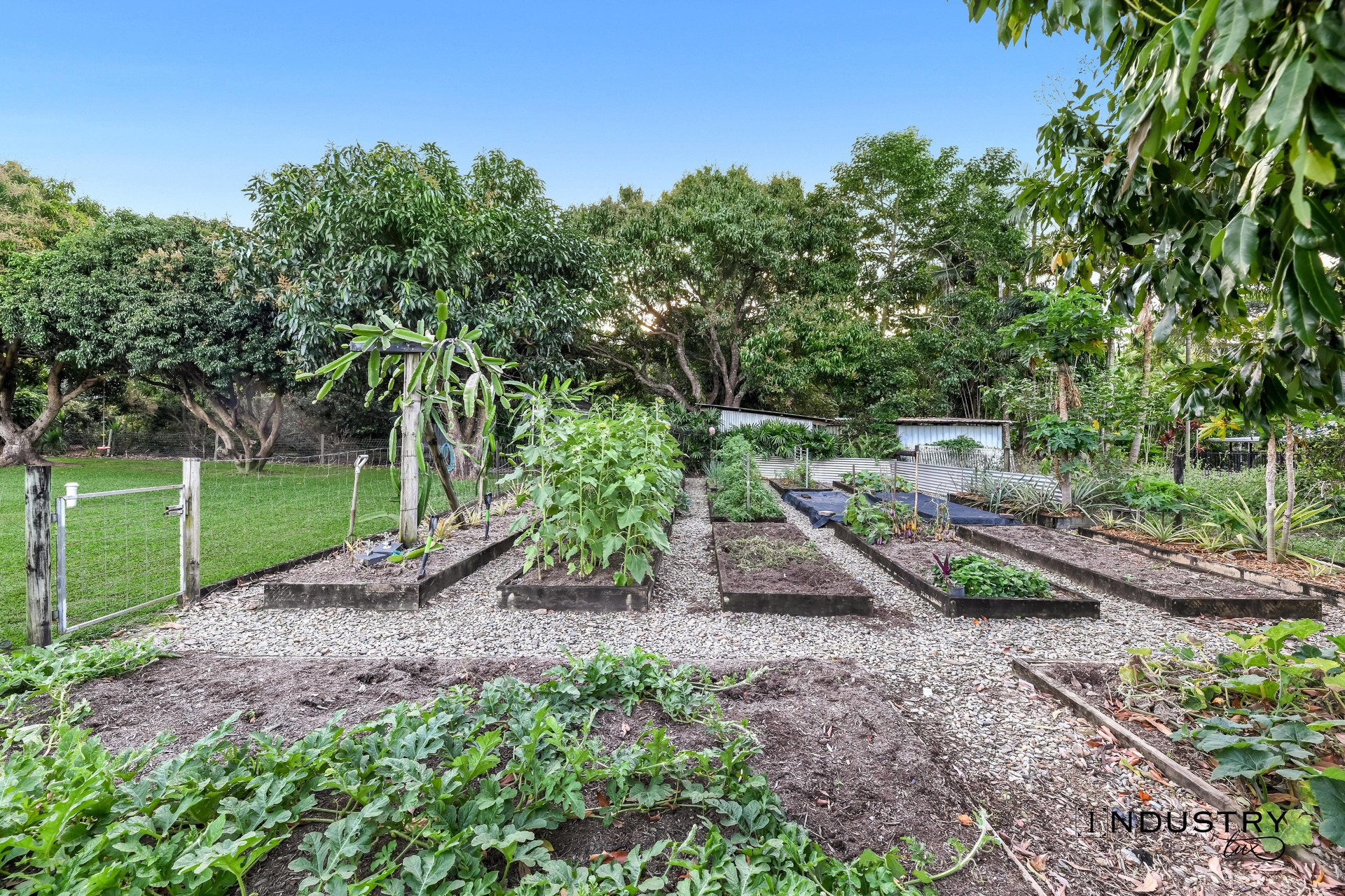 15 Wilkinson Street, Kewarra Beach, QLD 4879 AUS