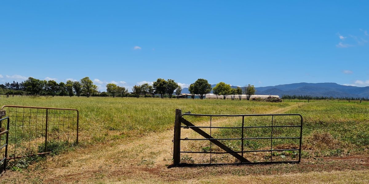 170 Graham Road, Tolga, QLD 4882 AUS