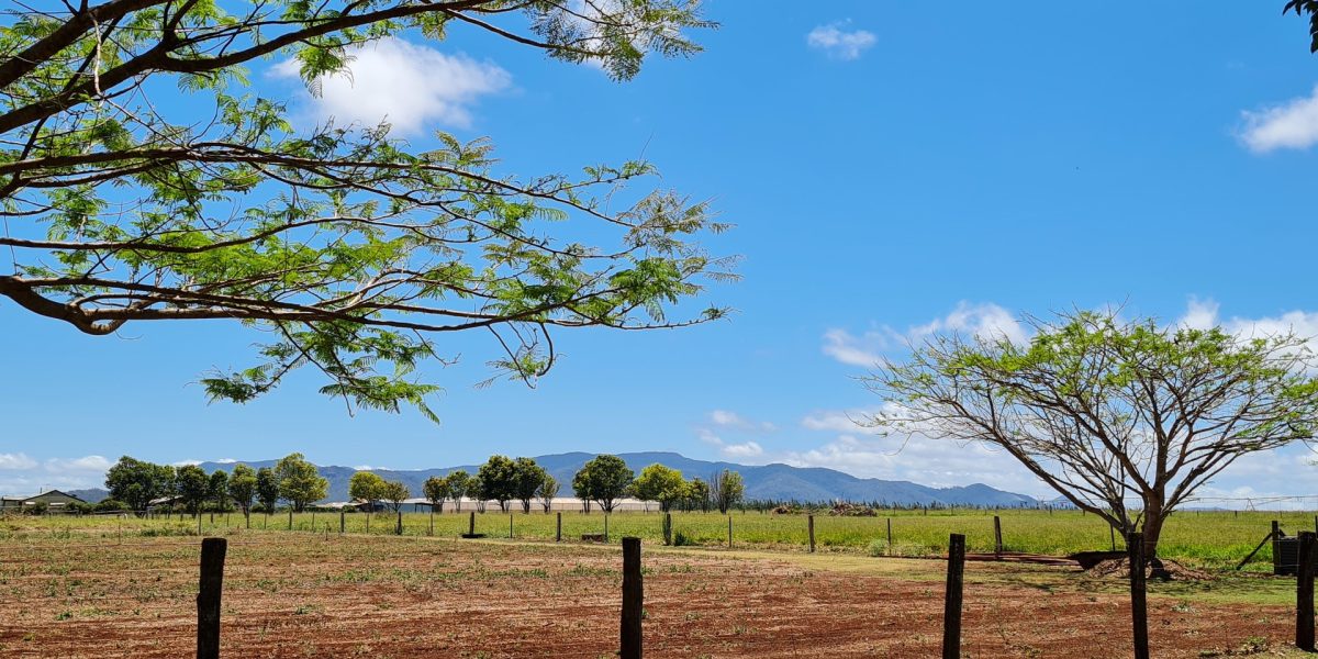 170 Graham Road, Tolga, QLD 4882 AUS