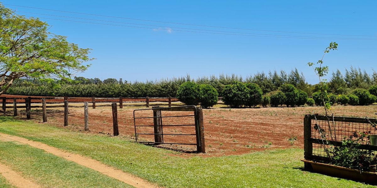 170 Graham Road, Tolga, QLD 4882 AUS