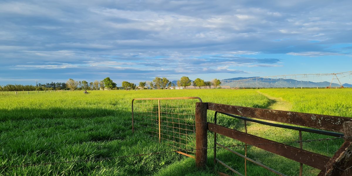 170 Graham Road, Tolga, QLD 4882 AUS