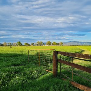 170 Graham Road, Tolga, QLD 4882 AUS