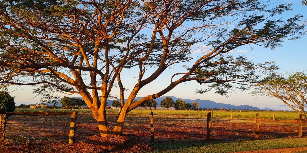 170 Graham Road, Tolga, QLD 4882 AUS