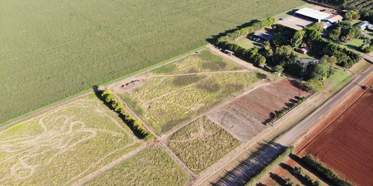 170 Graham Road, Tolga, QLD 4882 AUS