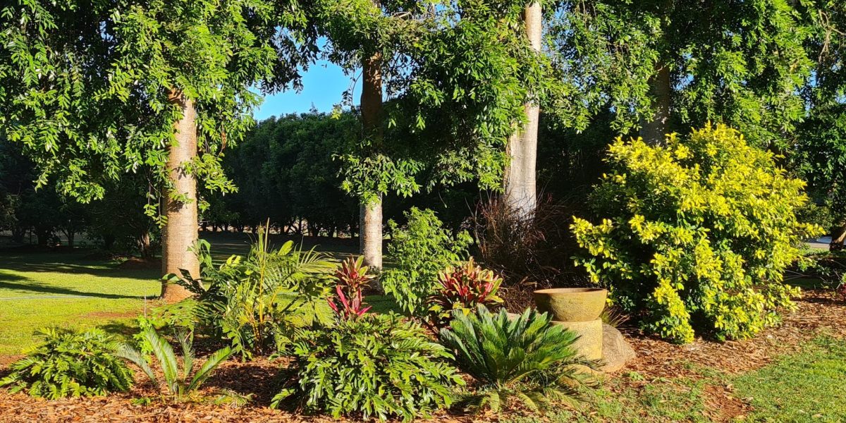 170 Graham Road, Tolga, QLD 4882 AUS