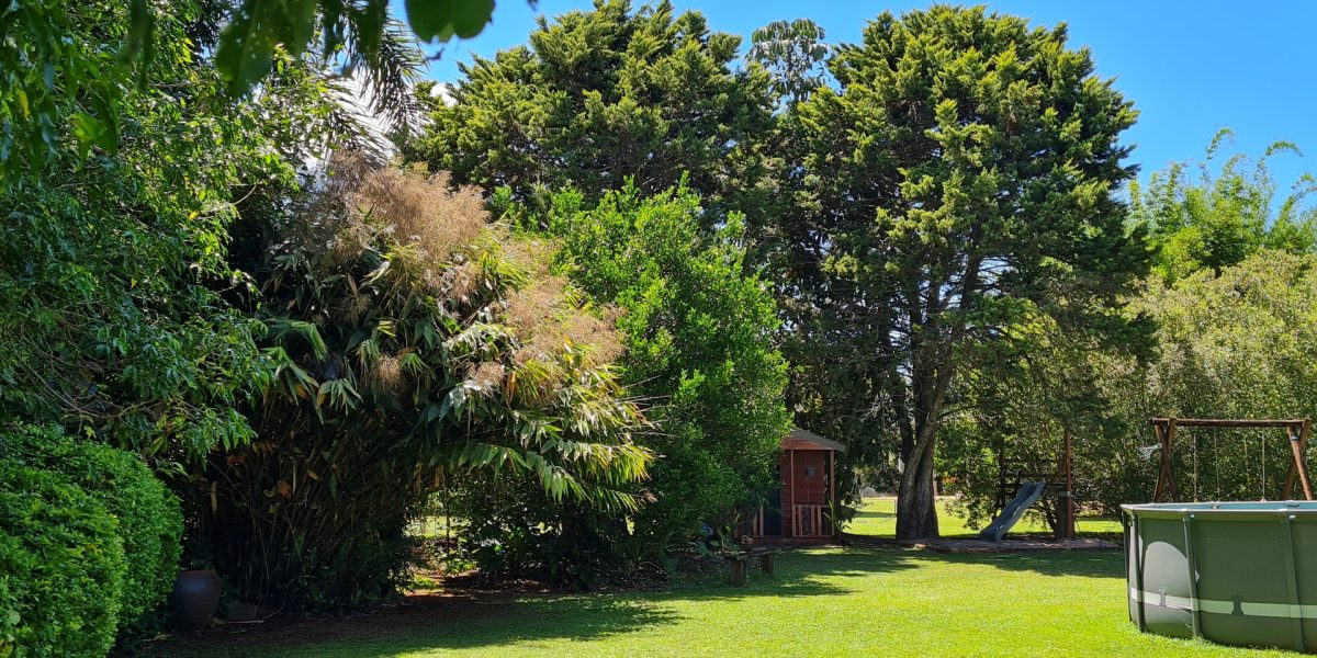 170 Graham Road, Tolga, QLD 4882 AUS