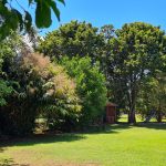 170 Graham Road, Tolga, QLD 4882 AUS