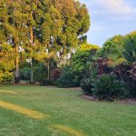 170 Graham Road, Tolga, QLD 4882 AUS