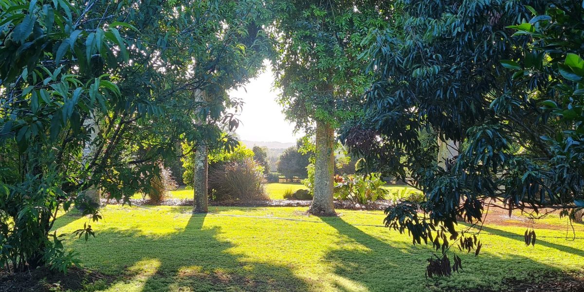 170 Graham Road, Tolga, QLD 4882 AUS