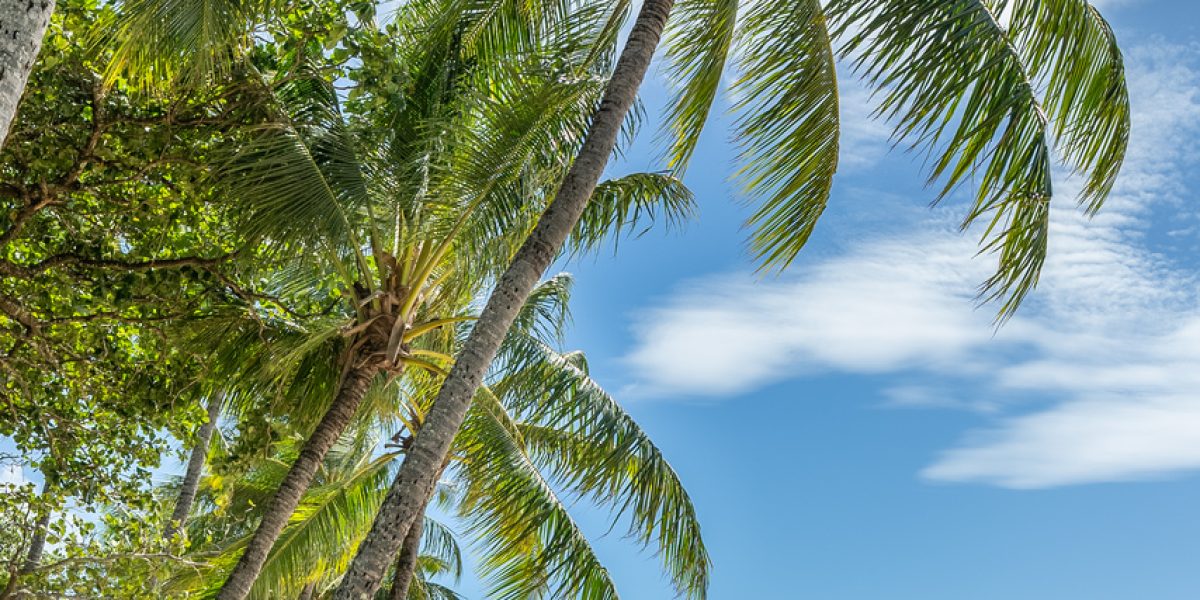 31 Lookout Terrace, Trinity Beach, QLD 4879 AUS