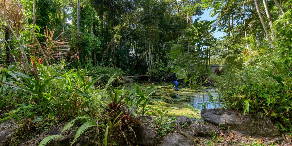 7 Stewart Street, Daintree, QLD 4873 AUS