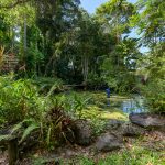 7 Stewart Street, Daintree, QLD 4873 AUS