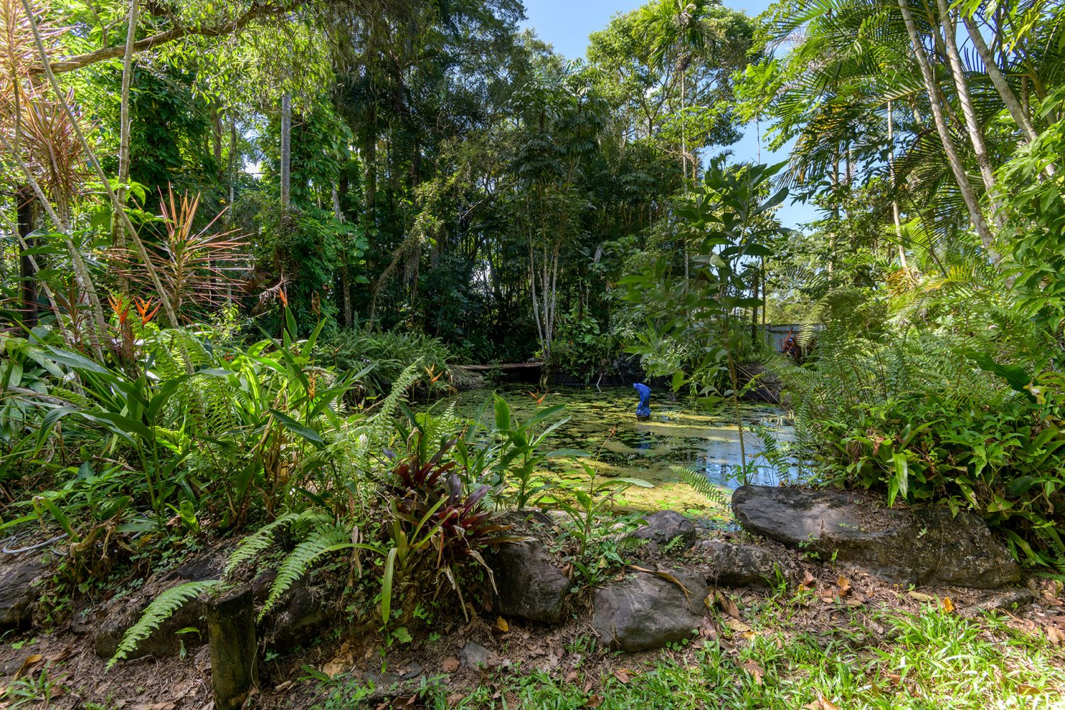 7 Stewart Street, Daintree, QLD 4873 AUS