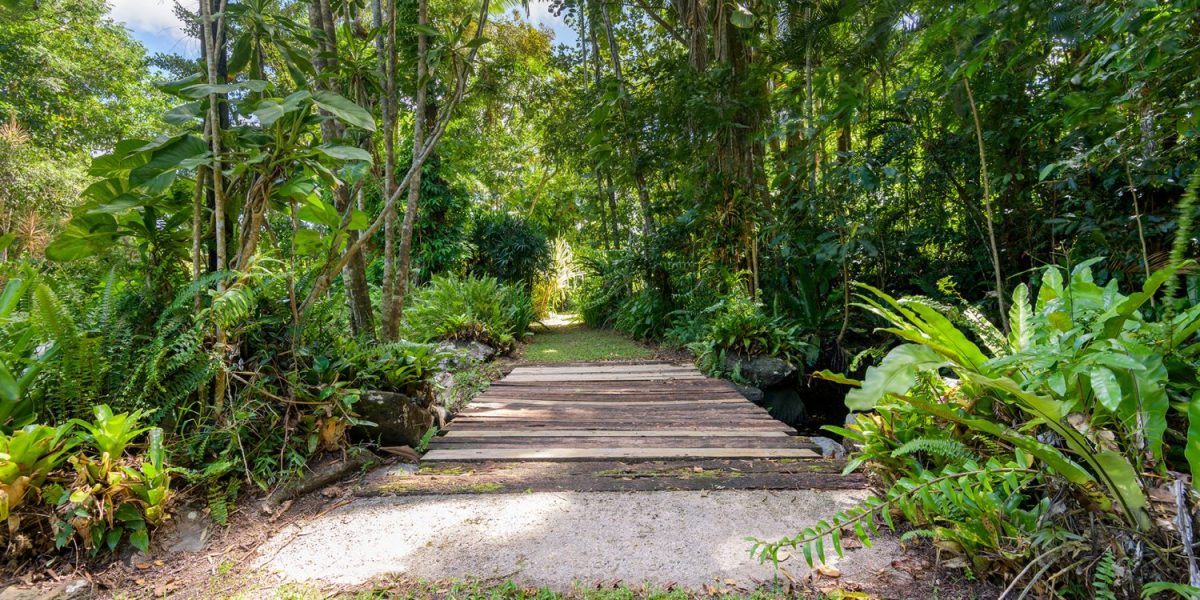 7 Stewart Street, Daintree, QLD 4873 AUS