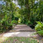 7 Stewart Street, Daintree, QLD 4873 AUS