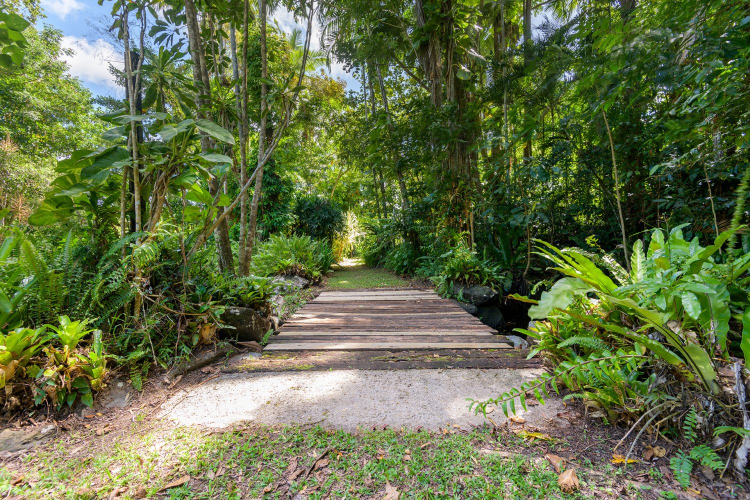 7 Stewart Street, Daintree, QLD 4873 AUS