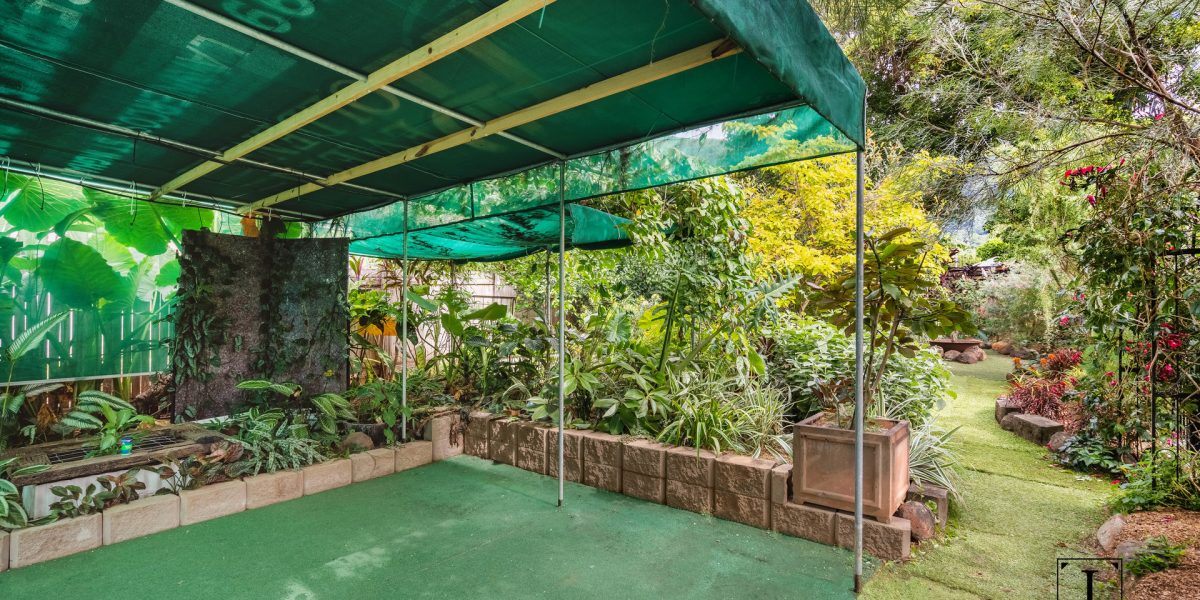 3 Elkhorn Close, Redlynch, QLD 4870 AUS