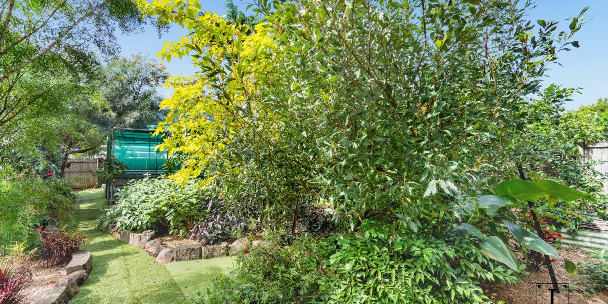3 Elkhorn Close, Redlynch, QLD 4870 AUS
