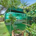 3 Elkhorn Close, Redlynch, QLD 4870 AUS