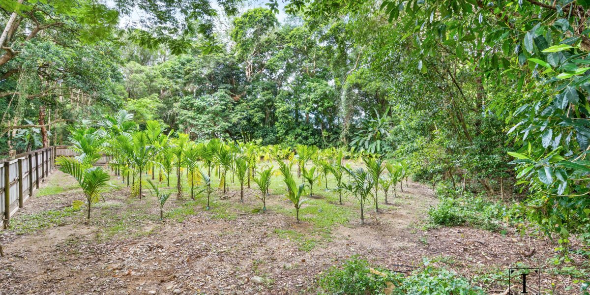 20 Maori Close, Clifton Beach, QLD 4879 AUS