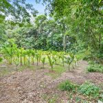 20 Maori Close, Clifton Beach, QLD 4879 AUS