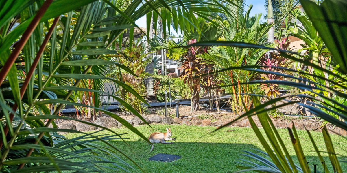 418/2 Keem Street, Trinity Beach, QLD 4879 AUS