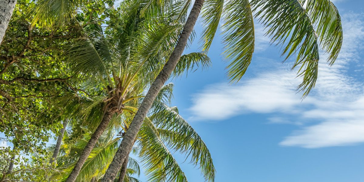 35 Conical Close, Trinity Beach, QLD 4879 AUS