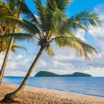 18 MacArthur Close, Palm Cove, QLD 4879 AUS