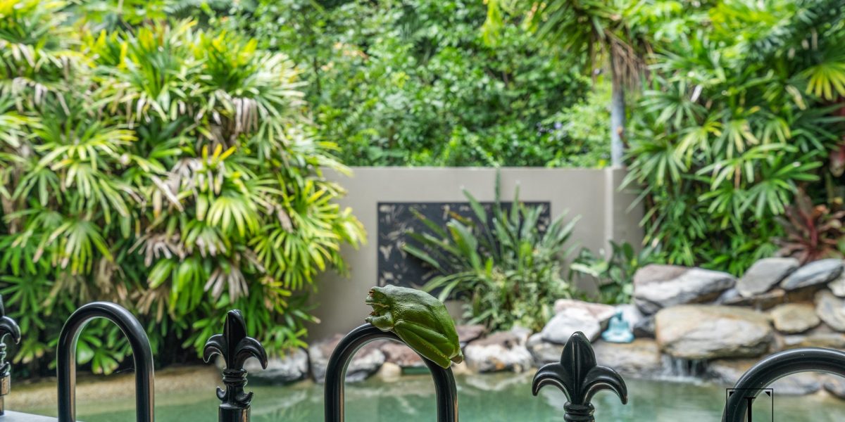 16 Trinidad Close, Trinity Beach, QLD 4879 AUS