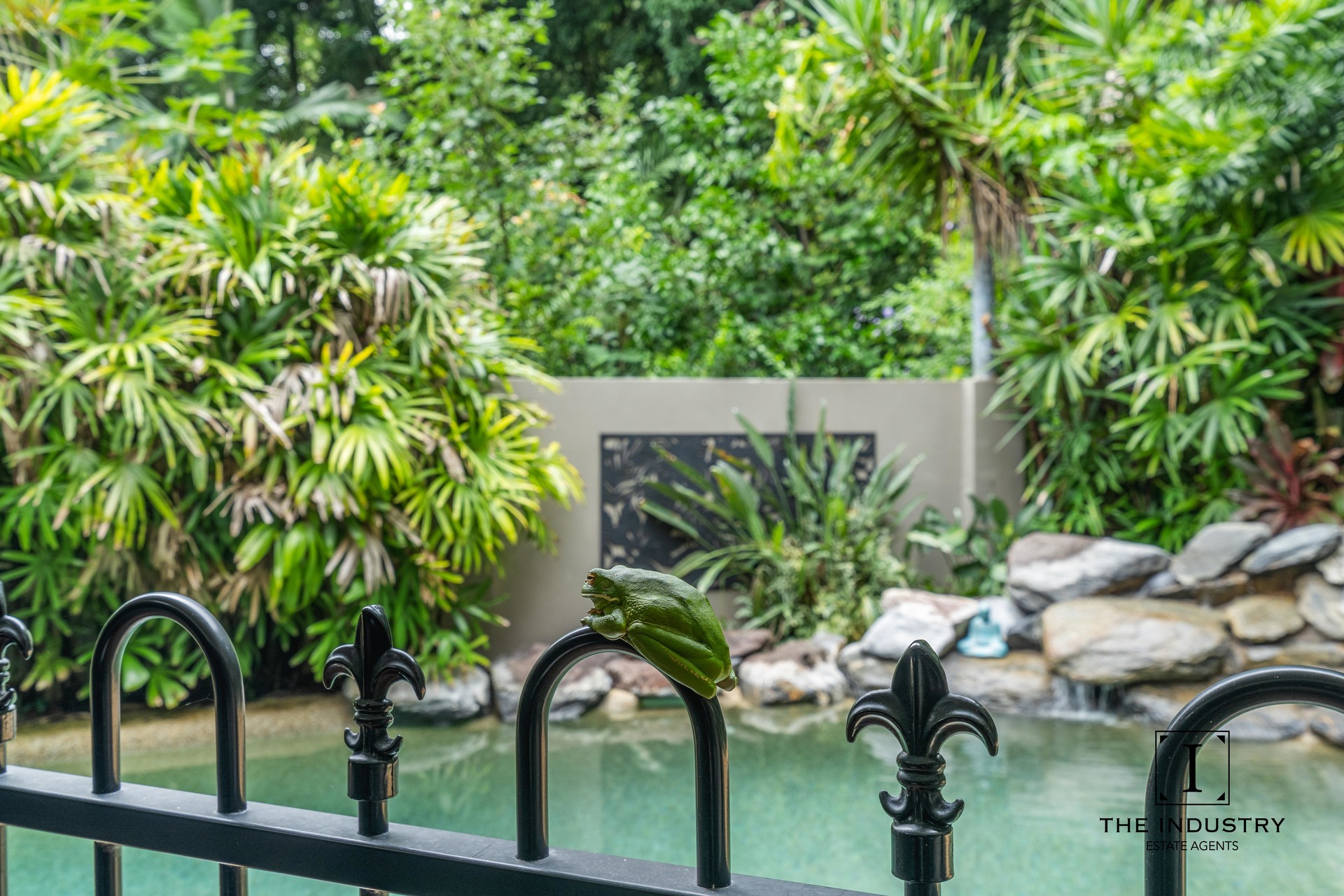 16 Trinidad Close, Trinity Beach, QLD 4879 AUS