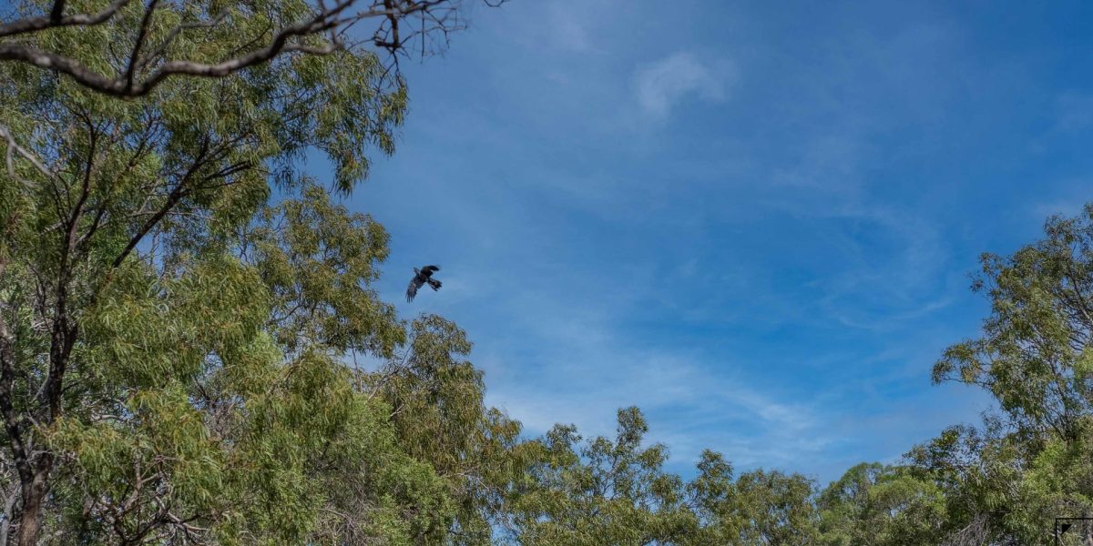 Lot 9/6806 Mulligan Highway, Mount Carbine, QLD 4871 AUS