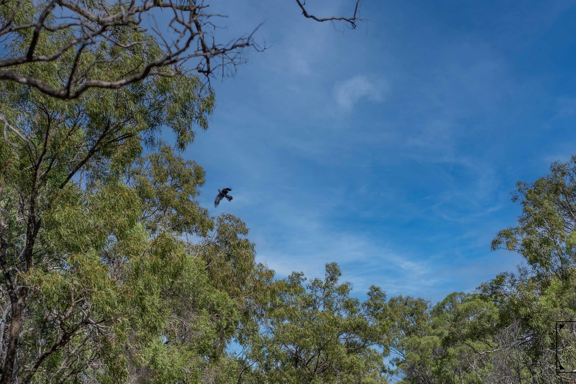 Lot 9/6806 Mulligan Highway, Mount Carbine, QLD 4871 AUS
