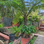25 Barang Street, Kuranda, QLD 4881 AUS