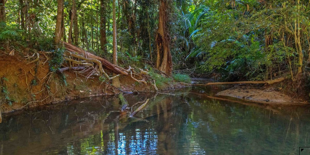 1 Saddle Mountain Road, Kuranda, QLD 4881 AUS