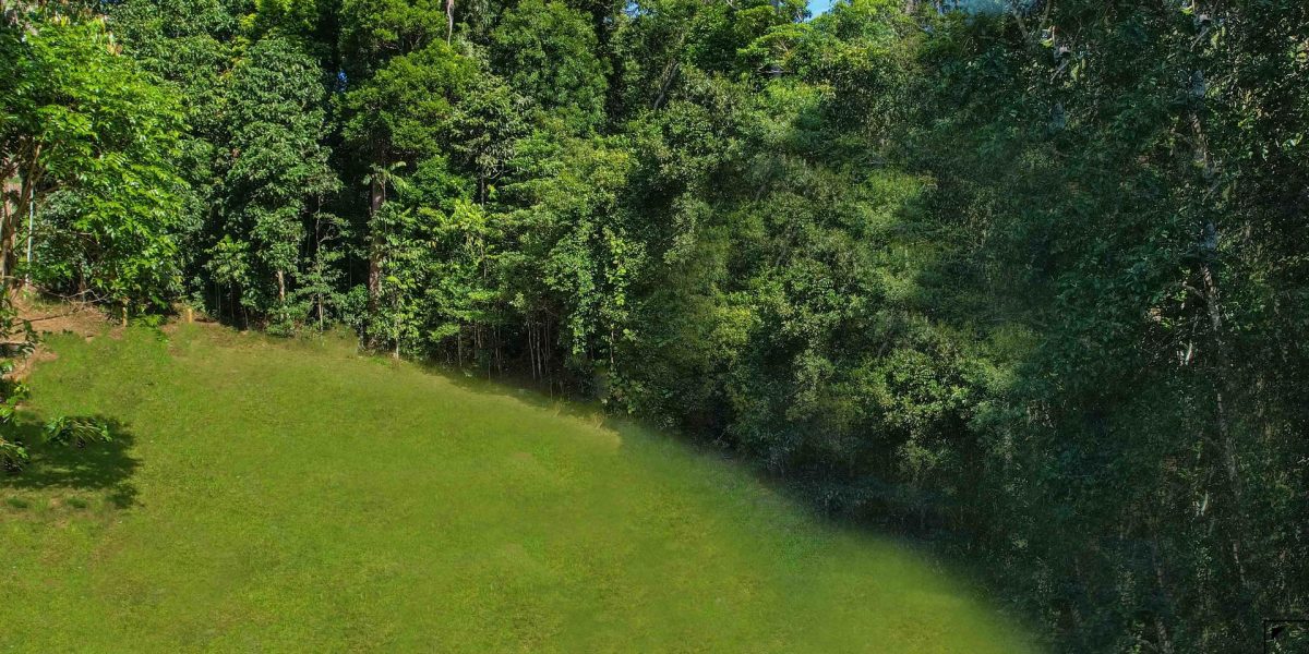 1 Saddle Mountain Road, Kuranda, QLD 4881 AUS