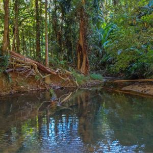1 Saddle Mountain Road, Kuranda, QLD 4881 AUS