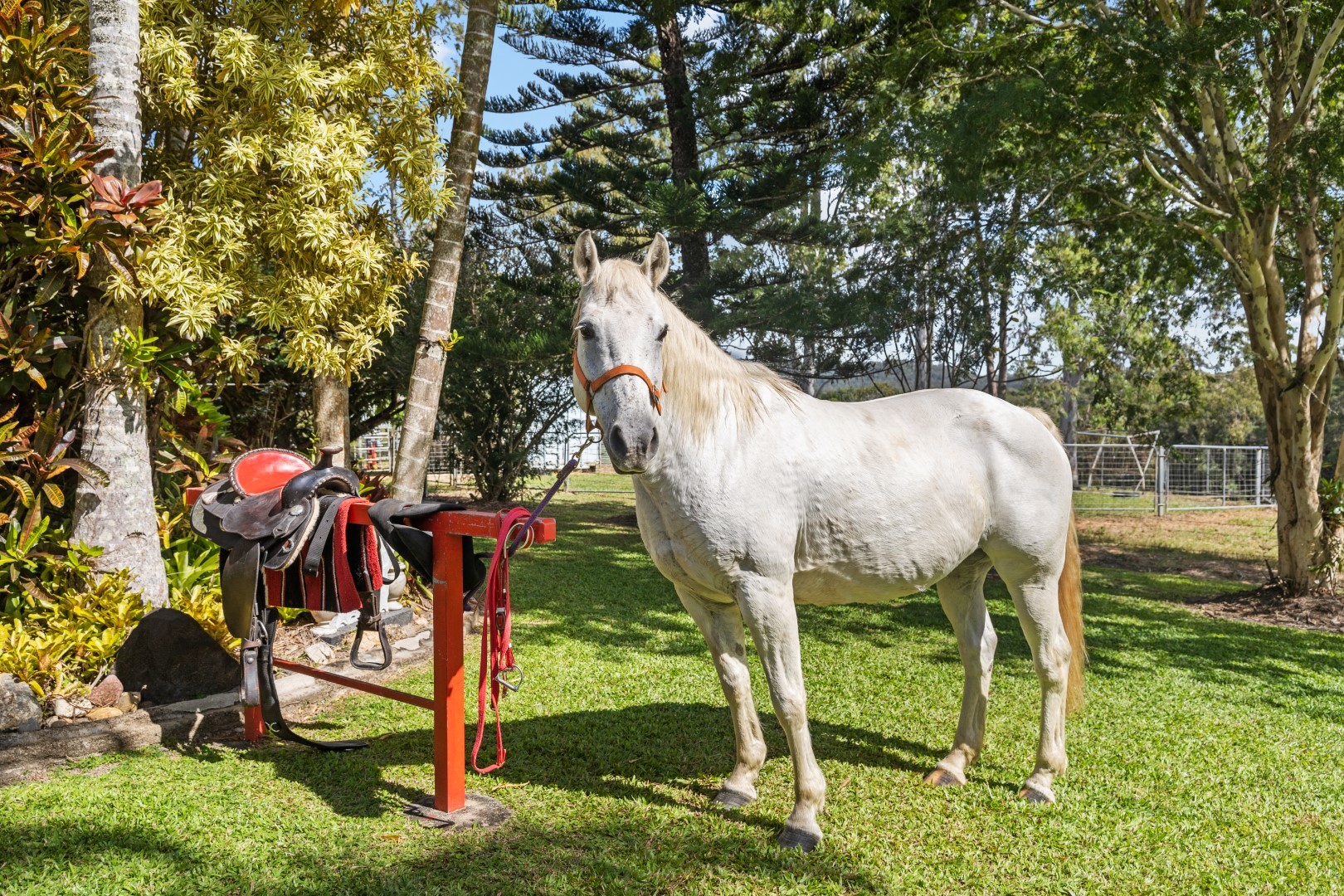 90 Stoney Creek Road, Speewah, QLD 4881 AUS