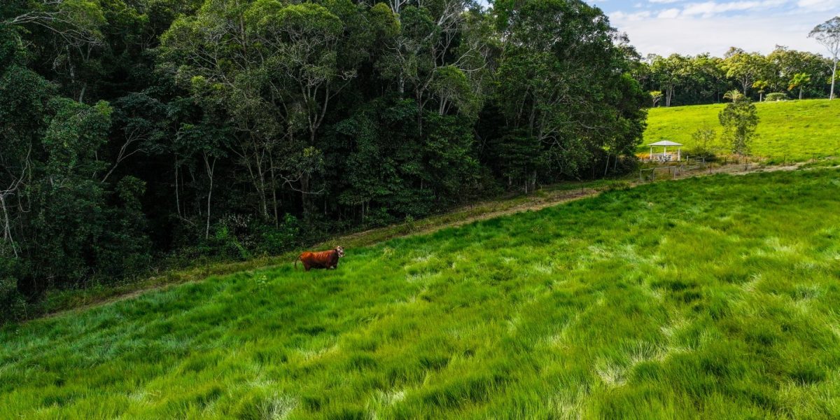90 Stoney Creek Road, Speewah, QLD 4881 AUS