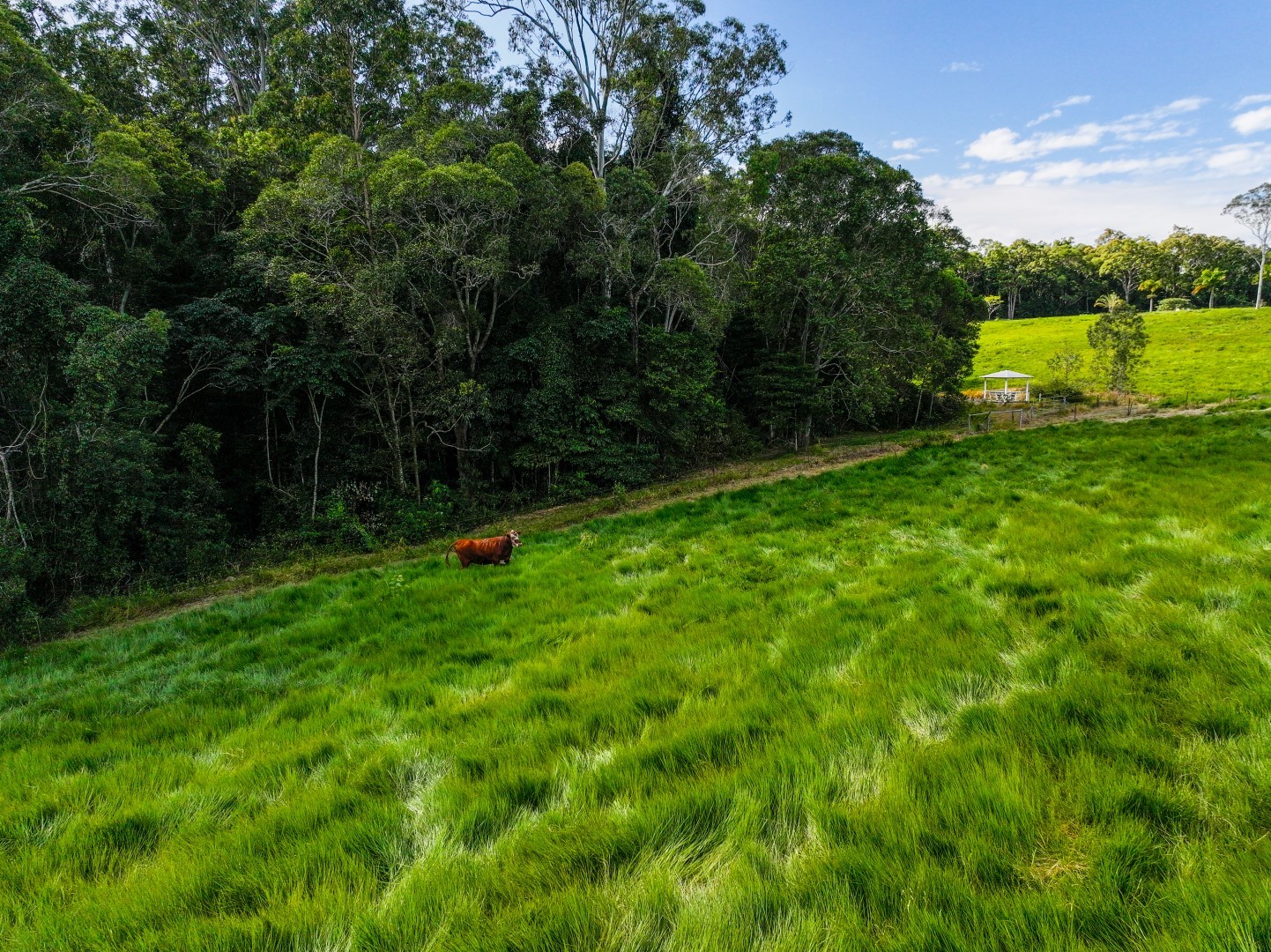 90 Stoney Creek Road, Speewah, QLD 4881 AUS